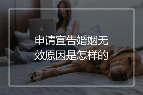 申请宣告婚姻无效原因是怎样的