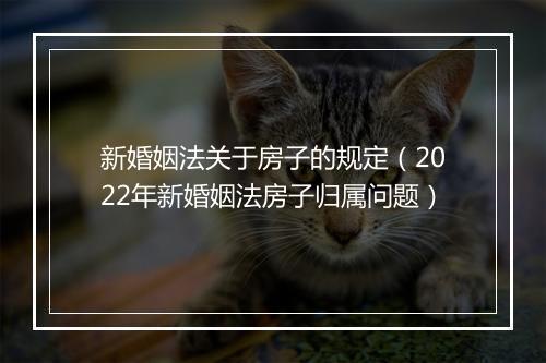 新婚姻法关于房子的规定（2022年新婚姻法房子归属问题）