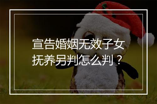 宣告婚姻无效子女抚养另判怎么判？