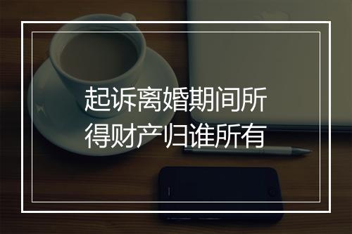 起诉离婚期间所得财产归谁所有