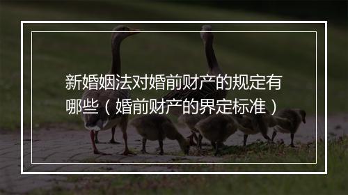 新婚姻法对婚前财产的规定有哪些（婚前财产的界定标准）
