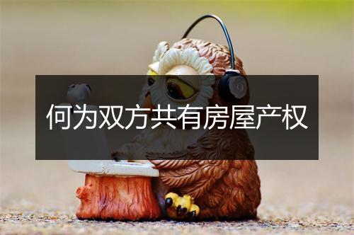 何为双方共有房屋产权