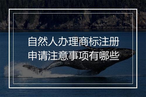 自然人办理商标注册申请注意事项有哪些