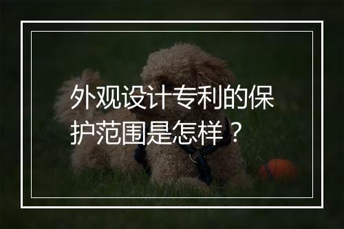 外观设计专利的保护范围是怎样？