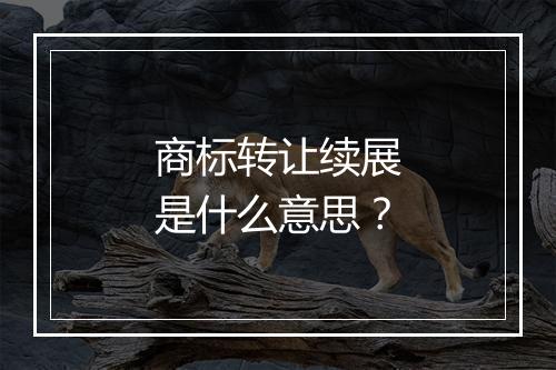 商标转让续展是什么意思？