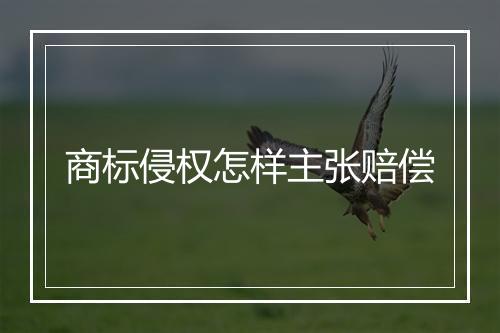 商标侵权怎样主张赔偿