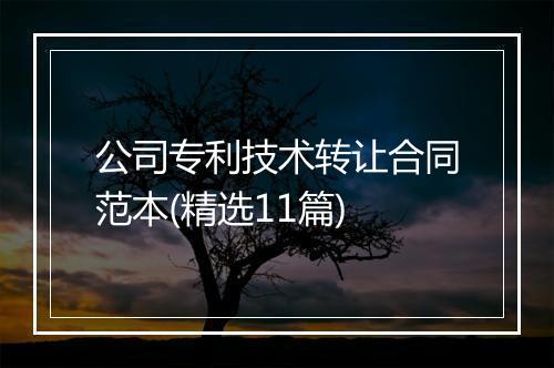 公司专利技术转让合同范本(精选11篇)