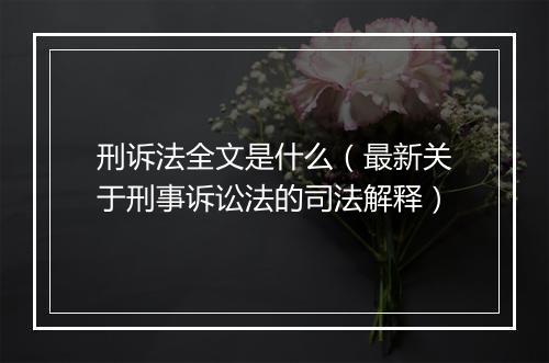 刑诉法全文是什么（最新关于刑事诉讼法的司法解释）