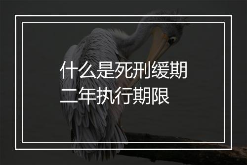 什么是死刑缓期二年执行期限
