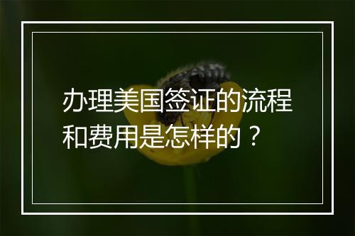 办理美国签证的流程和费用是怎样的？
