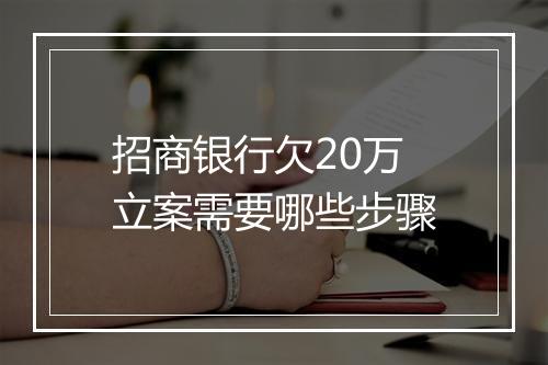 招商银行欠20万立案需要哪些步骤