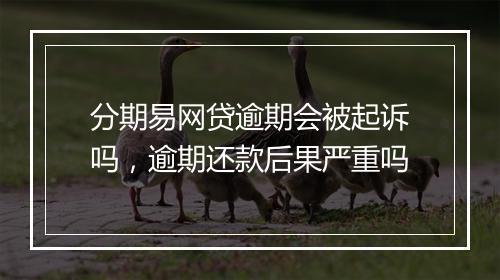 分期易网贷逾期会被起诉吗，逾期还款后果严重吗