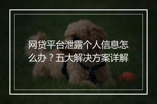 网贷平台泄露个人信息怎么办？五大解决方案详解