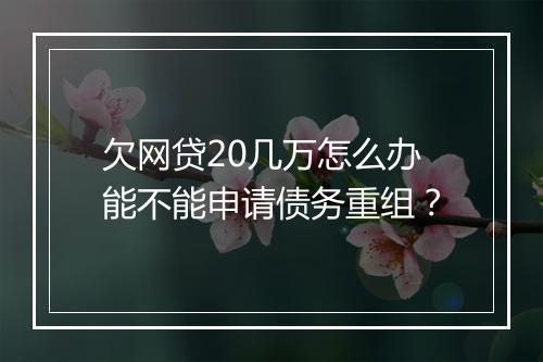 欠网贷20几万怎么办能不能申请债务重组？