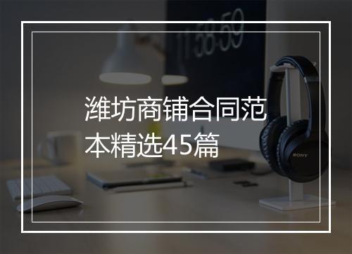 潍坊商铺合同范本精选45篇