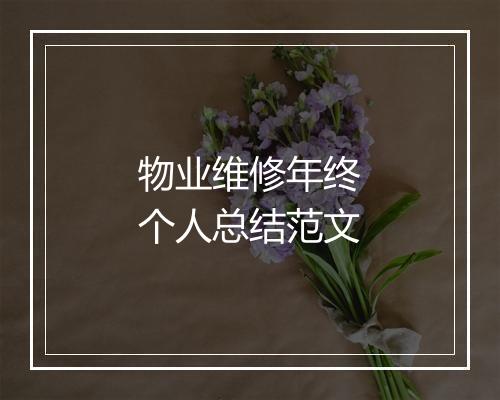 物业维修年终个人总结范文