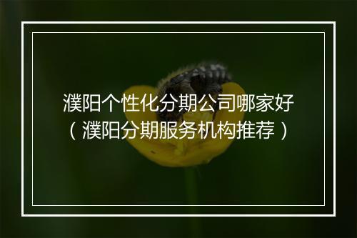 濮阳个性化分期公司哪家好（濮阳分期服务机构推荐）