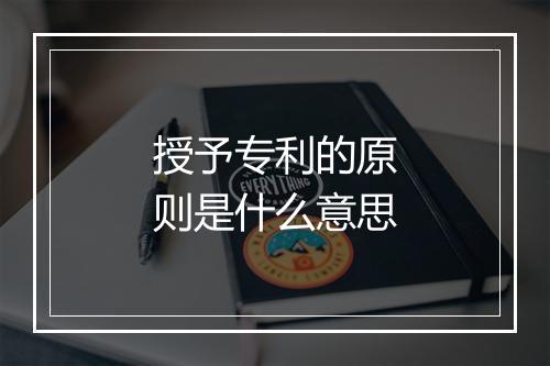 授予专利的原则是什么意思