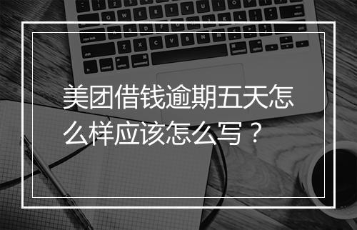 美团借钱逾期五天怎么样应该怎么写？