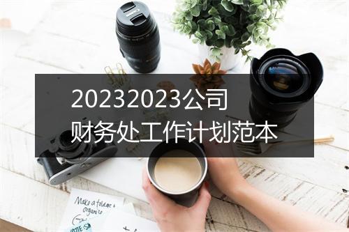 20232023公司财务处工作计划范本