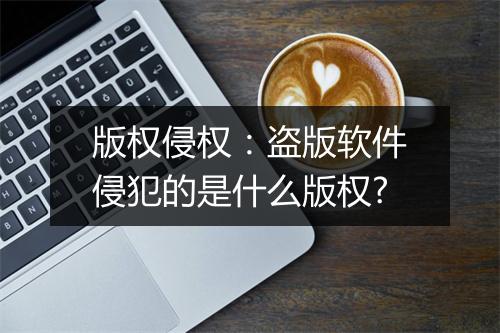 版权侵权：盗版软件侵犯的是什么版权?