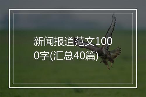 新闻报道范文1000字(汇总40篇)