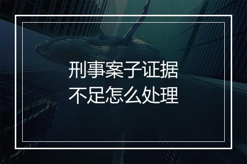 刑事案子证据不足怎么处理