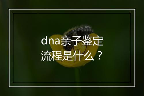 dna亲子鉴定流程是什么？