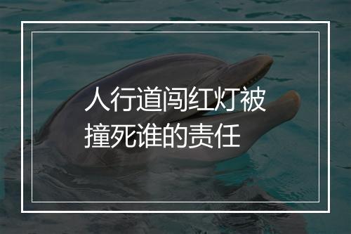 人行道闯红灯被撞死谁的责任