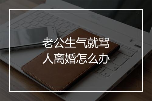 老公生气就骂人离婚怎么办