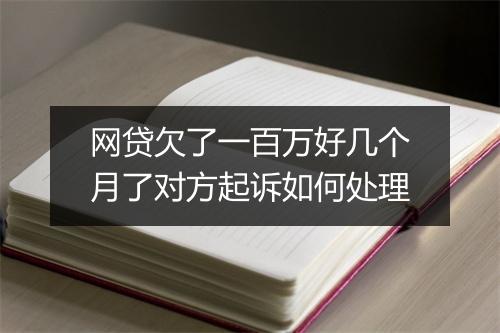 网贷欠了一百万好几个月了对方起诉如何处理