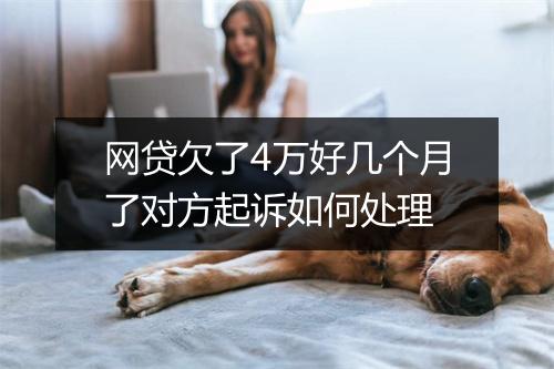 网贷欠了4万好几个月了对方起诉如何处理