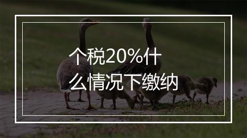 个税20%什么情况下缴纳