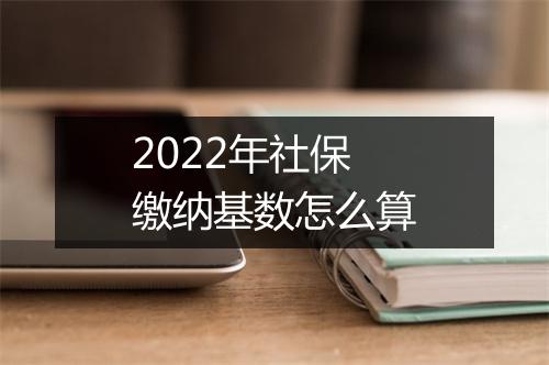 2022年社保缴纳基数怎么算