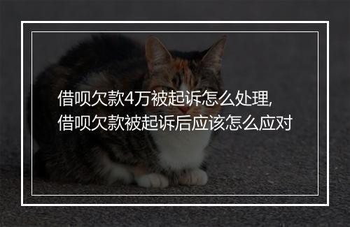 借呗欠款4万被起诉怎么处理,借呗欠款被起诉后应该怎么应对