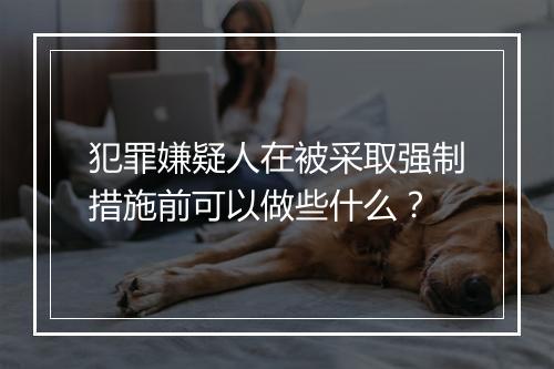 犯罪嫌疑人在被采取强制措施前可以做些什么？