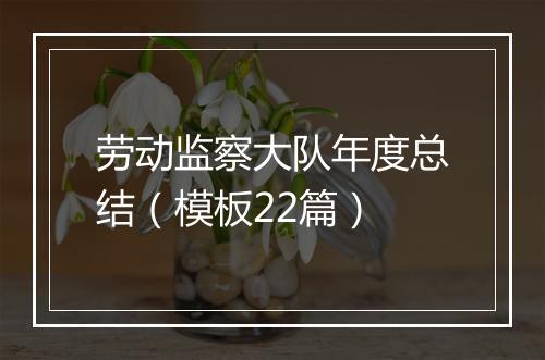 劳动监察大队年度总结（模板22篇）