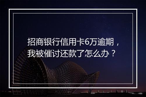 招商银行信用卡6万逾期，我被催讨还款了怎么办？