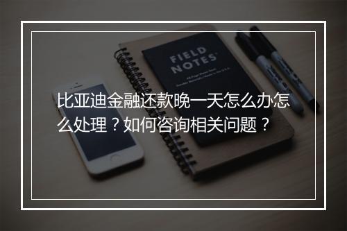 比亚迪金融还款晚一天怎么办怎么处理？如何咨询相关问题？