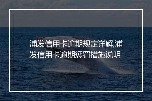 浦发信用卡逾期规定详解,浦发信用卡逾期惩罚措施说明