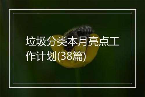 垃圾分类本月亮点工作计划(38篇)