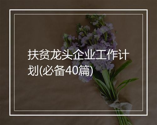 扶贫龙头企业工作计划(必备40篇)