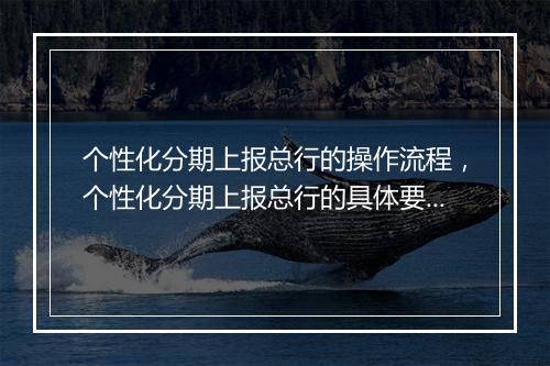 个性化分期上报总行的操作流程，个性化分期上报总行的具体要求