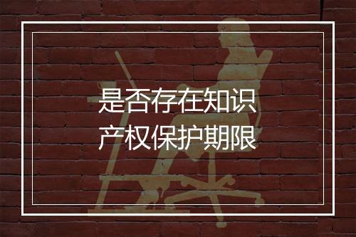 是否存在知识产权保护期限
