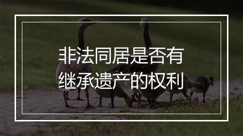 非法同居是否有继承遗产的权利