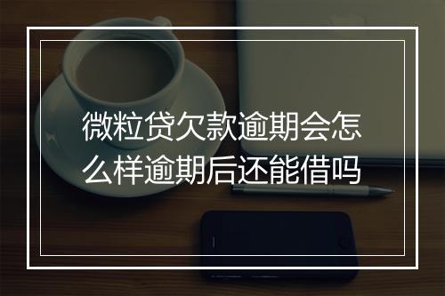 微粒贷欠款逾期会怎么样逾期后还能借吗