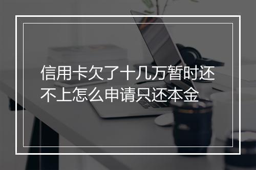 信用卡欠了十几万暂时还不上怎么申请只还本金