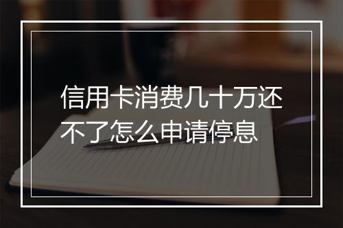 信用卡消费几十万还不了怎么申请停息