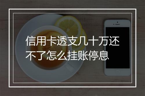 信用卡透支几十万还不了怎么挂账停息