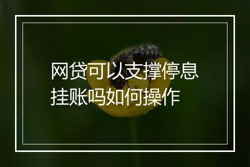 网贷可以支撑停息挂账吗如何操作